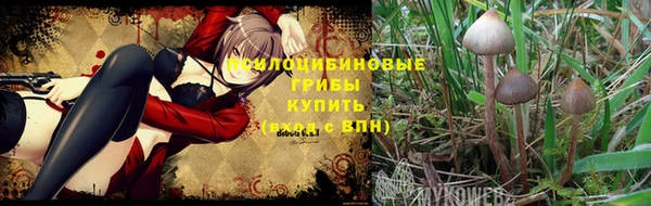 героин Абаза