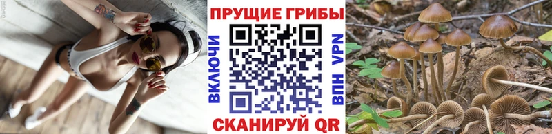 Псилоцибиновые грибы Magic Shrooms  Остров 